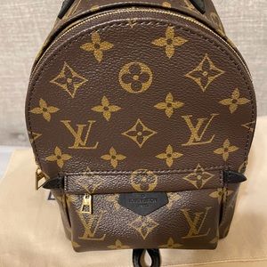Louis Vuitton Palm Springs Mini